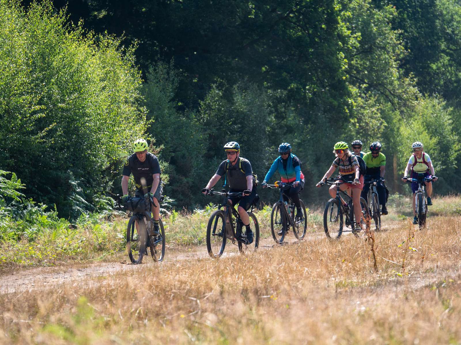 An image of a windmill in Norfolk.