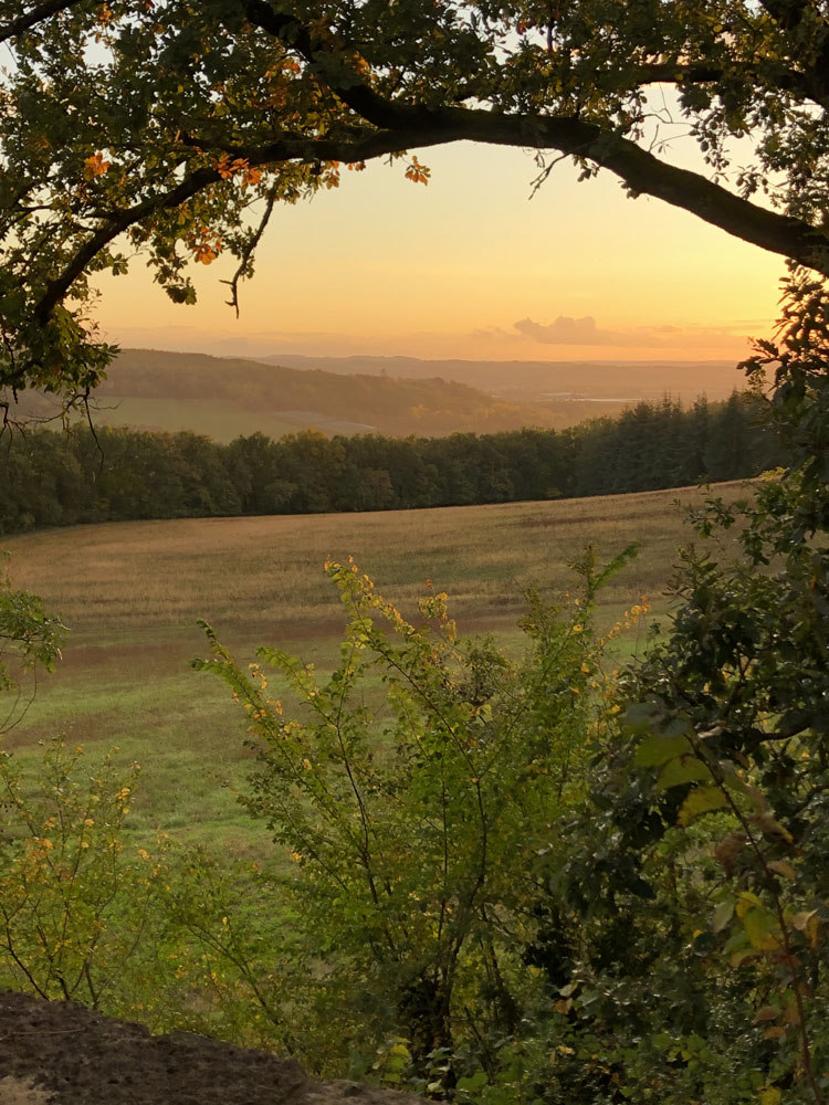 An image of a field in Southwest France.